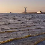 Muszelka - *