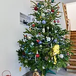 Muszelka - Apartment *