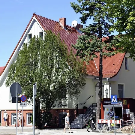 Muszelka - * シフィノウイシチェ