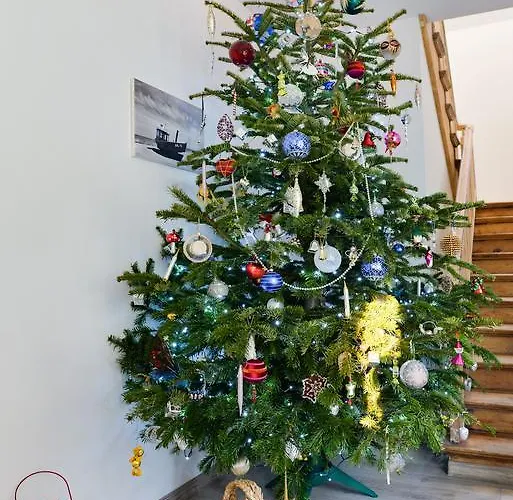 Muszelka - Appartement *