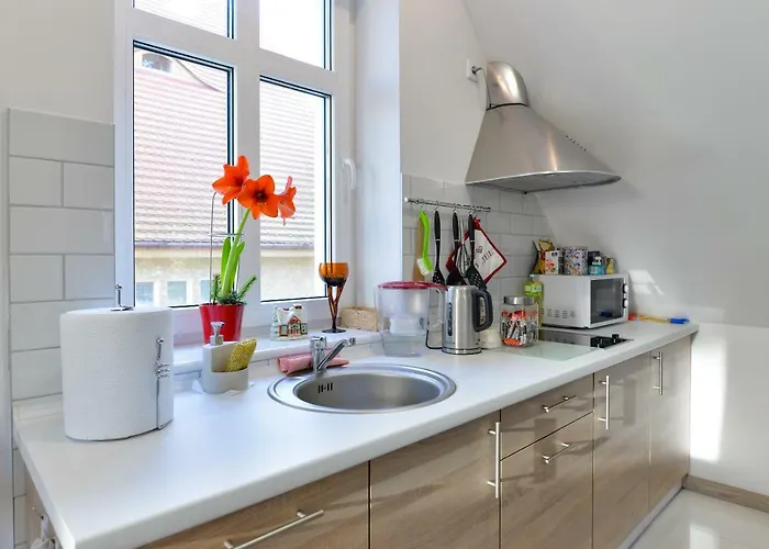 Muszelka - Świnoujście